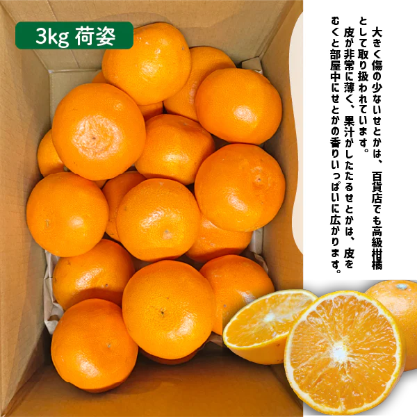 国産 せとか 約3kg 愛媛県 和歌山県 秀品 ギフト 贈答 セトカ みかん 柑橘