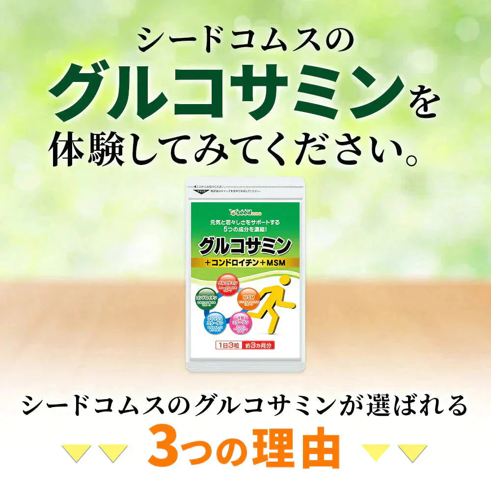 2型コラーゲン配合グルコサミン&コンドロイチン&MSM《約3ヶ月分》 サプリ サプリメント 健康 グルコサミン コンドロイチン msm フィッシュ コラーゲン【大容量】