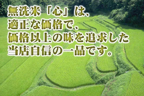 【訳あり】無洗米 10kg 送料無料 九州産 当店人気No1の無洗米 心(こころ) 10kg 九州のお米 5kg2個セット 令和7年産九州産米 精米時期7月下旬