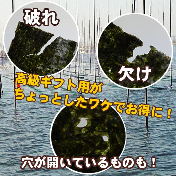 送料無料・有明海産わけあり焼海苔40枚