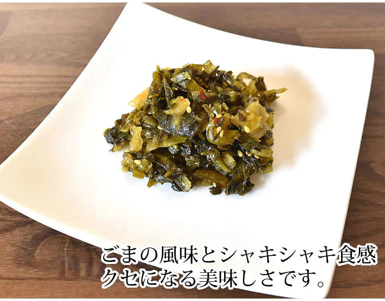 高菜漬 ごま高菜 漬物 600g(150g×4袋) 送料無料 お試し お取り寄せ 宮崎県産 胡麻たかな ポイント消化 つけもの