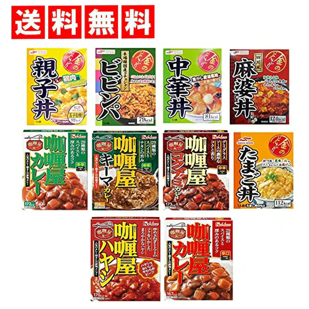 金のどんぶり カリー屋カレー 詰め合わせ 10食セット ( 牛丼 親子丼 ビビンバ 中華丼 ハヤシライス カレー どんぶり 丼 丼物 レトルト 非常食 レンチン つめあわせ まとめ買い アソート インスタント )