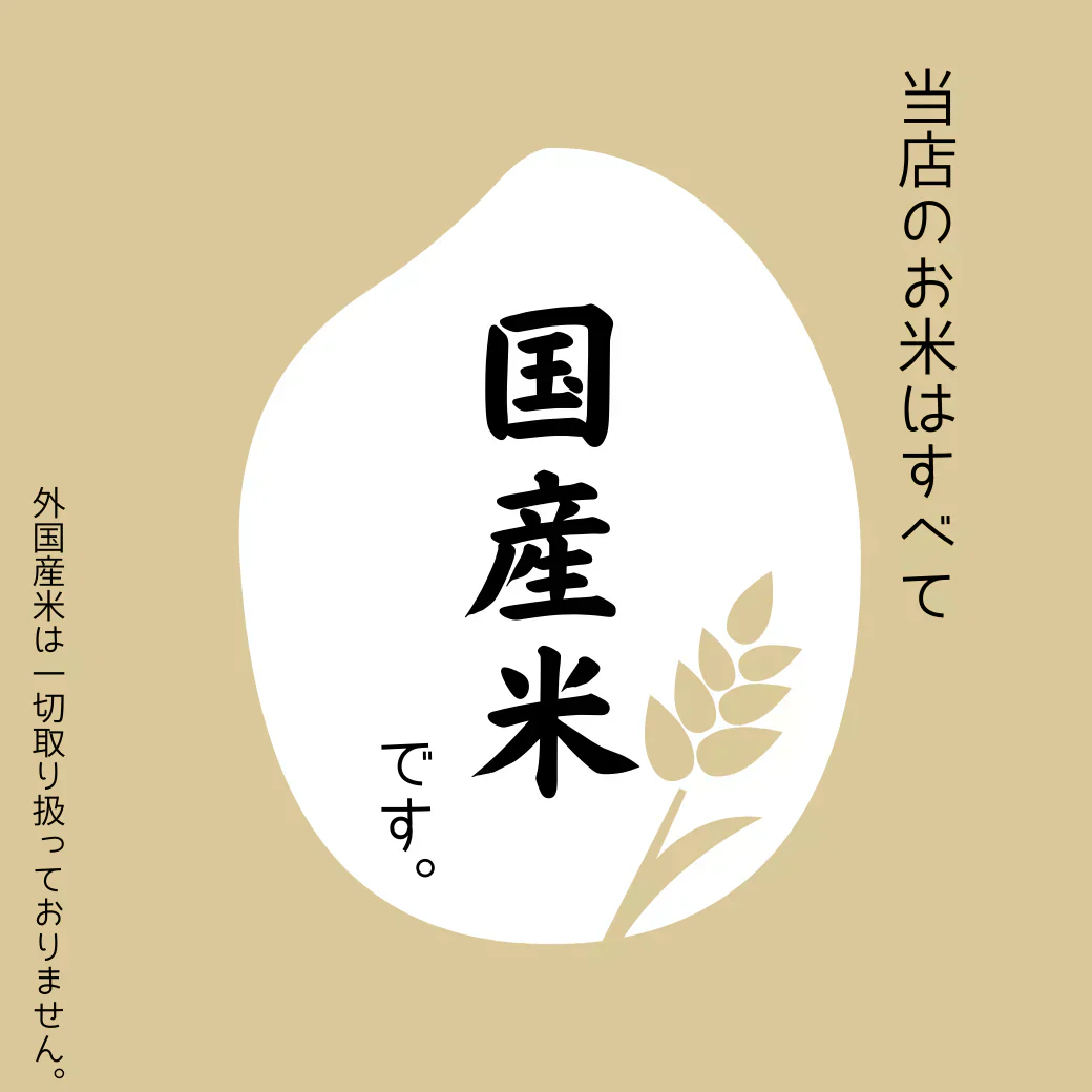 600g 研ぐお米 国内産単一原料米 300g×2個セット 小分け 2合パック×2 令和6年産 ゆうパケット発送 送料無料0613