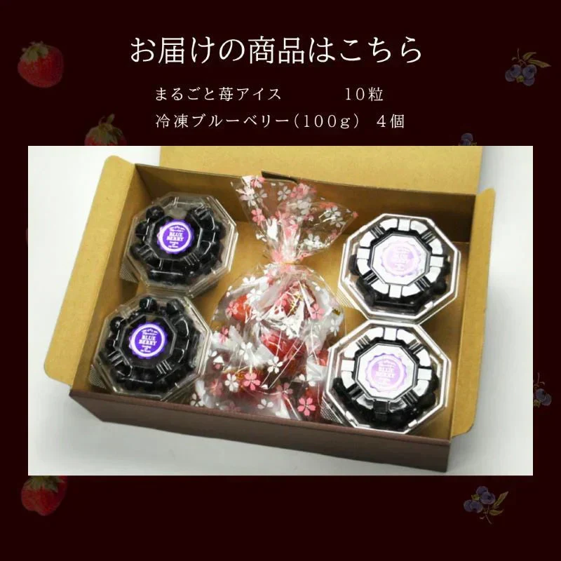 2種ベリーアイスセット まるごと苺アイス10粒&冷凍ブルーベリー(100g)4カップ詰合せ 化粧箱 ギフト 冷凍 国産 いちご イチゴ ストロベリー ベリー 冷凍果実 フルーツ アイス あいす