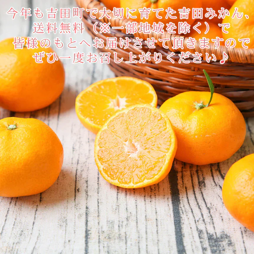 みかん 特撰 吉田みかん 3kg3箱 特撰0303 贈答用 精品 中玉 2Lサイズ揃えで15から20玉前後が3箱 化粧箱入 特撰包装 ミカン 蜜柑 フルーツ 果物 柑橘 贈物 贈答 お歳暮 送料無料