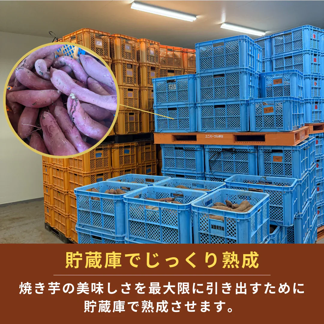 【3kg】レンチンで簡単!ねっとり焼き芋 (冷凍) 【ご新規さん限定商品】無添加 国産 さつまいも サツマイモ