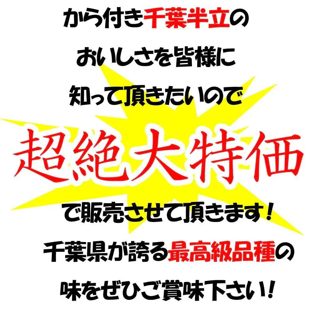 【大特価】お試し 千葉県産千葉半立 さや煎り落花生200g(100g×2袋) 国産 おつまみ グルメ おやつ 無添加