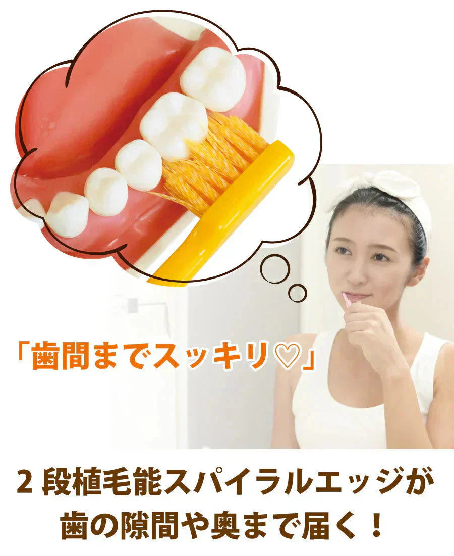 歯ブラシ Ci PRO PLUS スパイラル/Mふつう/25本入り プロプラス スパイラル【Ciメディカル 歯ブラシ】【メール便送料無料】