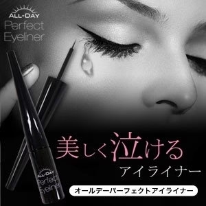 メール便 2個セット 送料無料 汗や涙に強い落ちにくいアイライナー オールデー パーフェクトアイライナー 送料無料 超極細リキッドタイプ ウォータープルーフ パンダ目 アイライナー 落ちない にじまない リキッド ブラック 目元 漆黒 二重 目力 パッチリ