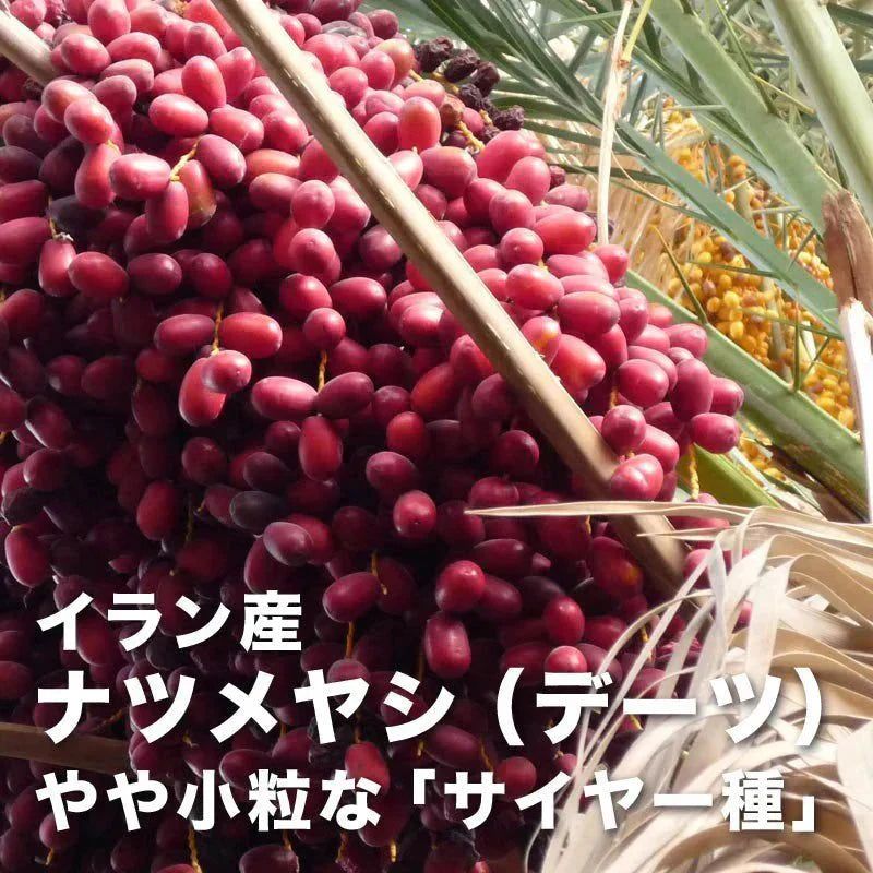 デーツ 無添加 ドライデーツ 800g サイヤー種 イラン産