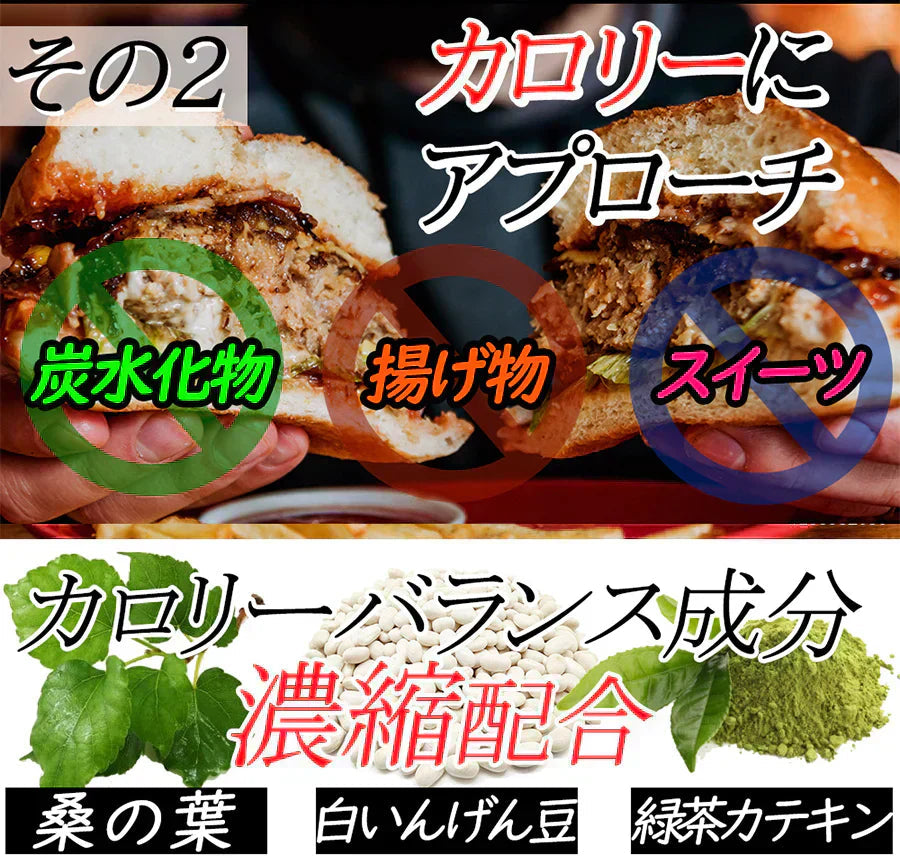 【お得3ヶ月分・黒のチカラ】活性炭 ダイエット チャコール クレンズサプリ 炭のチカラ 炭 ダイエットサプリメント 善玉菌 国産 竹炭 食物繊維 お腹 腸内フローラ スッキリダイエット 桑の葉 白インゲン豆 キトサン 緑茶 スッキリ 乳酸菌サプリ 炭ダイエット 日本製 炭のダイエット サプリメント 90日分 スッキリ出す 国産竹炭 食物繊維 お腹 調子 腸 スッキリ キレイ おすすめ 人気 ランキング 効果 強力 最強 通販