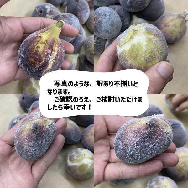 和歌山県産 冷凍いちじく 約1kg 2025年産 ジャム コンポート 訳あり 加工用 いちじく 冷凍