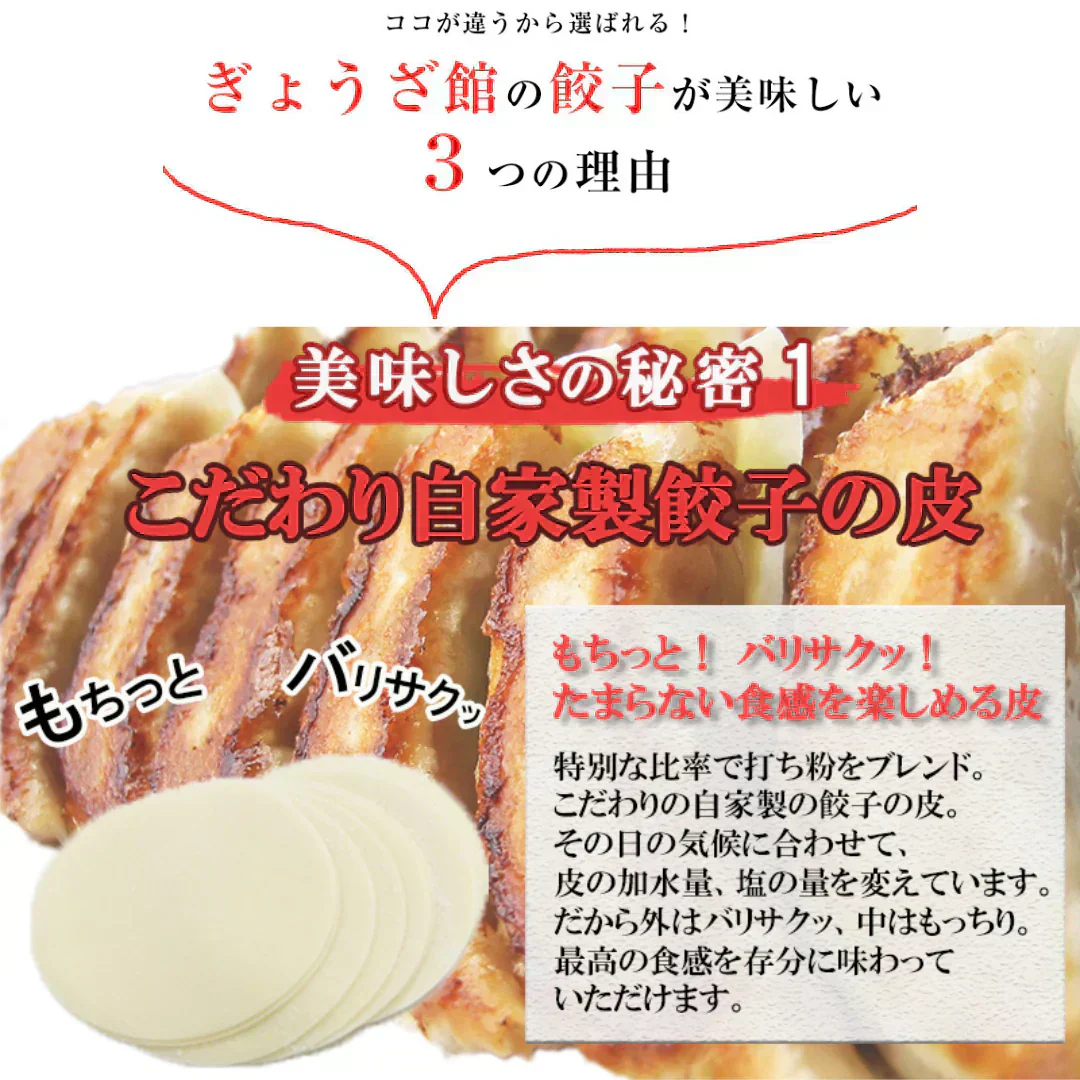 メガ盛り!本餃子&しょうが餃子96個(本餃子48個、しょうが餃子48個)