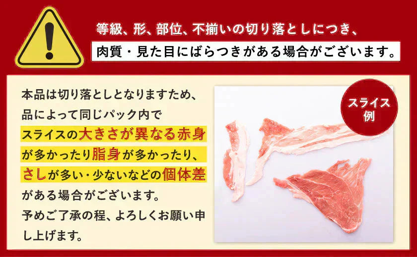 総重量1,520g! お肉5種 バラエティセット 肉 豚肉 鶏肉 ハンバーグ 5種 大容量 肉 福袋 切り落とし 豚ミンチ 国産 豚 ミンチ うまかチキン 若鶏 モモ肉 むね肉 デミグラス 7-14営業日以内に発送予定(土日祝除く)