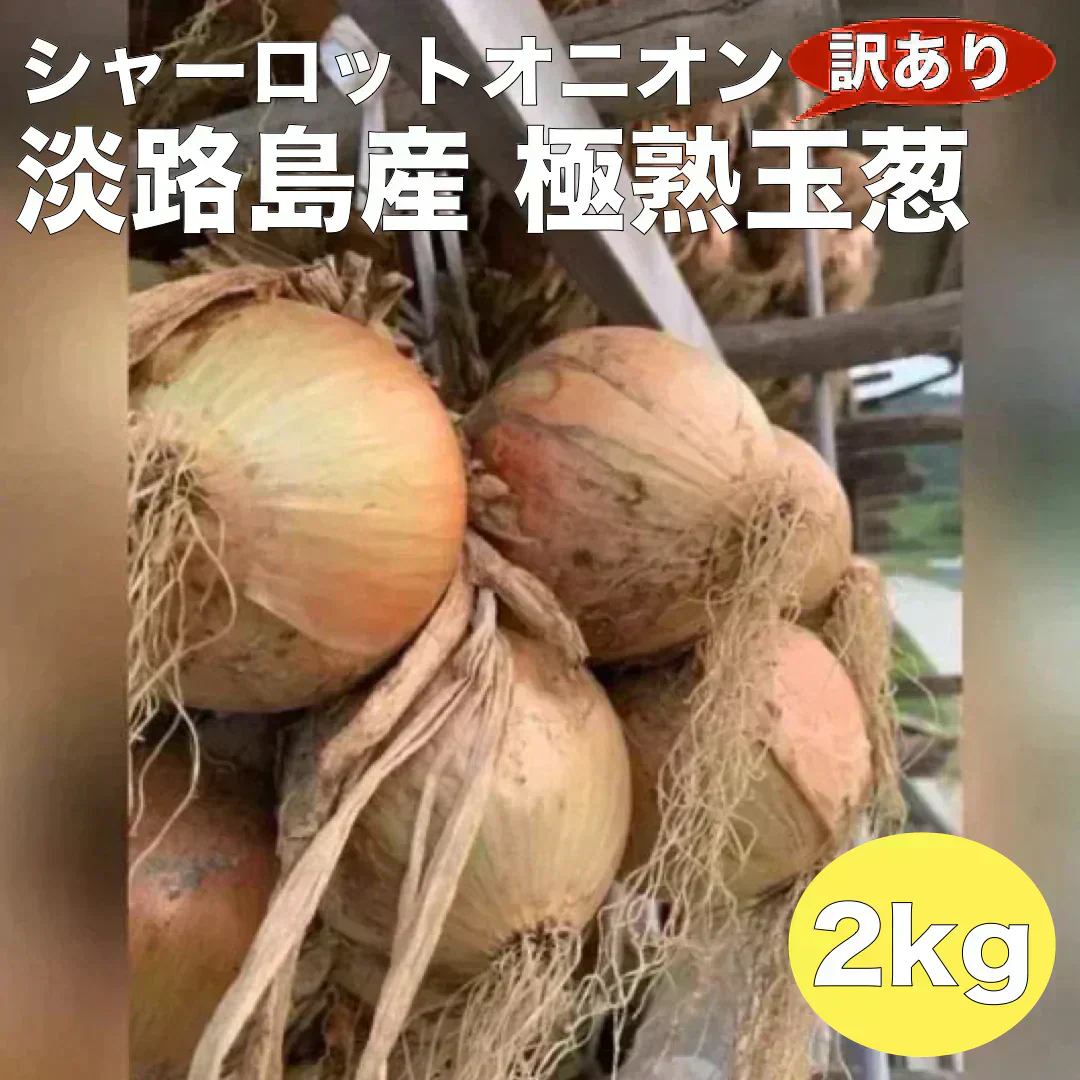 訳あり玉ねぎ2kg🧅シャーロットオニオン🧅淡路島極熟玉葱🧅送料無料 たまねぎ タマネギ