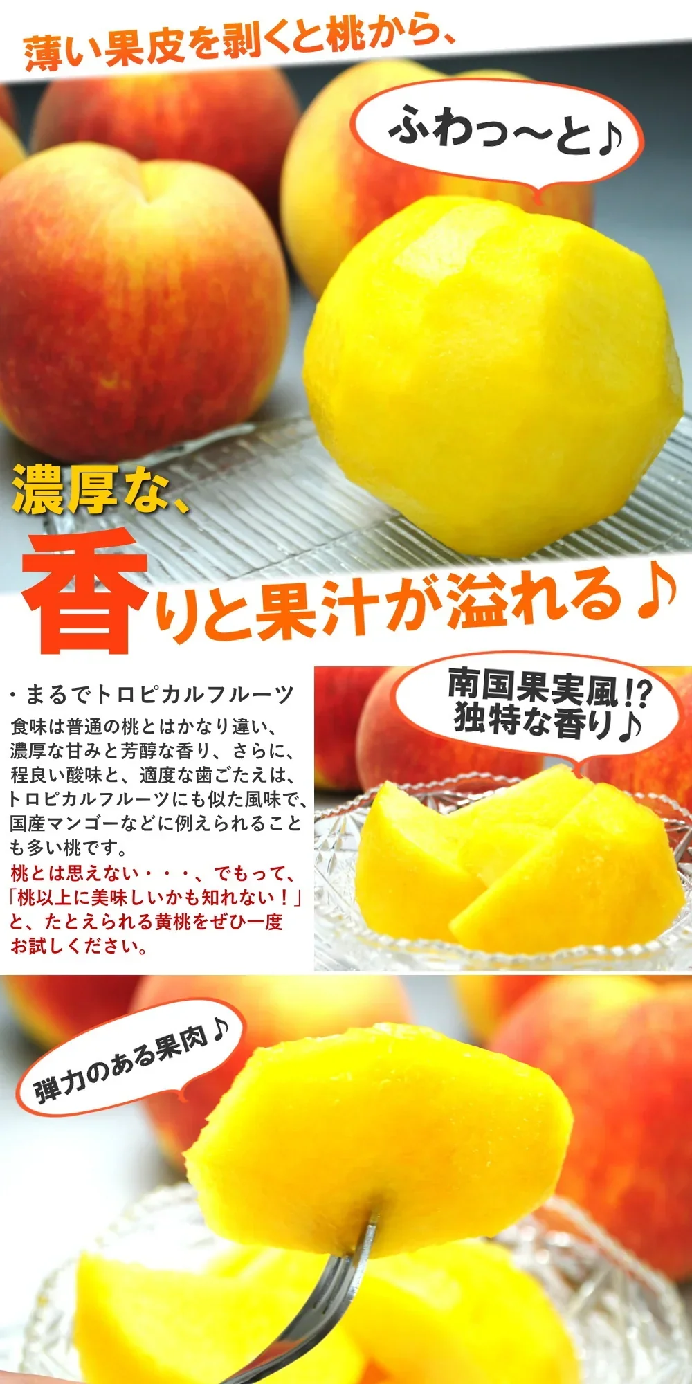 訳あり 黄桃 5kg前後 産地箱 モモ もも ピーチ サイズ・玉数おまかせ ご家庭用 送料無料 業務用 箱詰め 黄色い桃