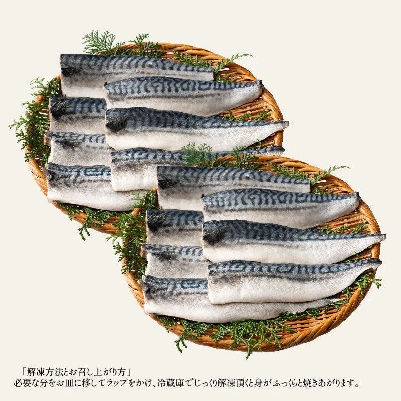 さば 無添加 無塩 トロさば サバ 鯖 約2kg(12〜16尾)トロ鯖 海鮮 天然 美味しい 魚 魚介 海産物 おかず おつまみ 乾き物 酒の肴 贈り物 お取り寄せグルメ 食べ物 おいしい 絶品【家計お助けSALE】