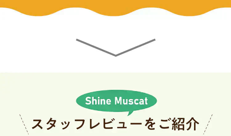 ★水出しOK★【約60杯分】アレンジルイボスティー シャインマスカット カップ用30個入 2袋セット(グリーンルイボスティー ティーバッグ ノンカフェイン ハーブティー)