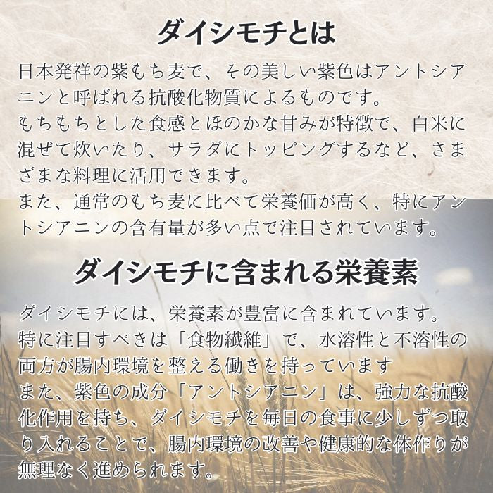 岡山県産 ダイシモチ/幻の紫もち麦 1kg 令和7年産
