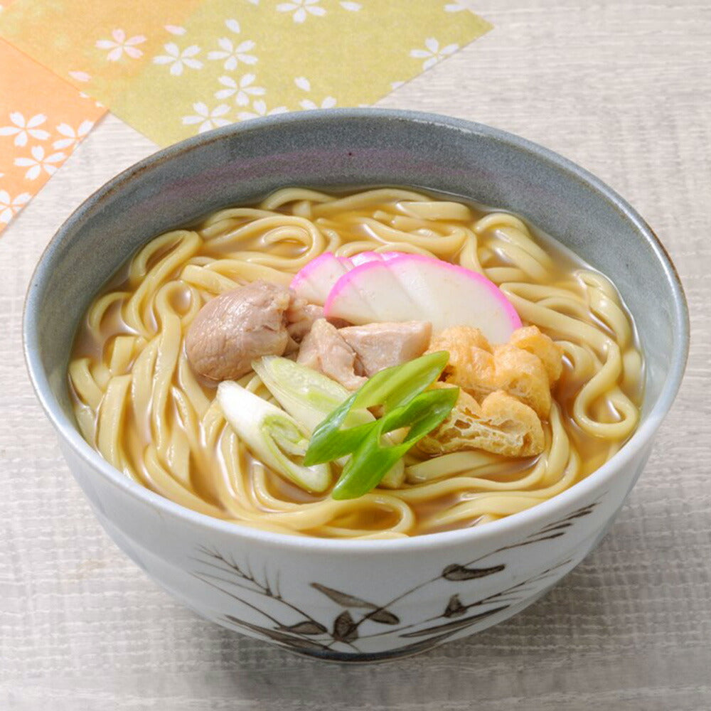 名古屋名物カレーうどん10食【送料込み】