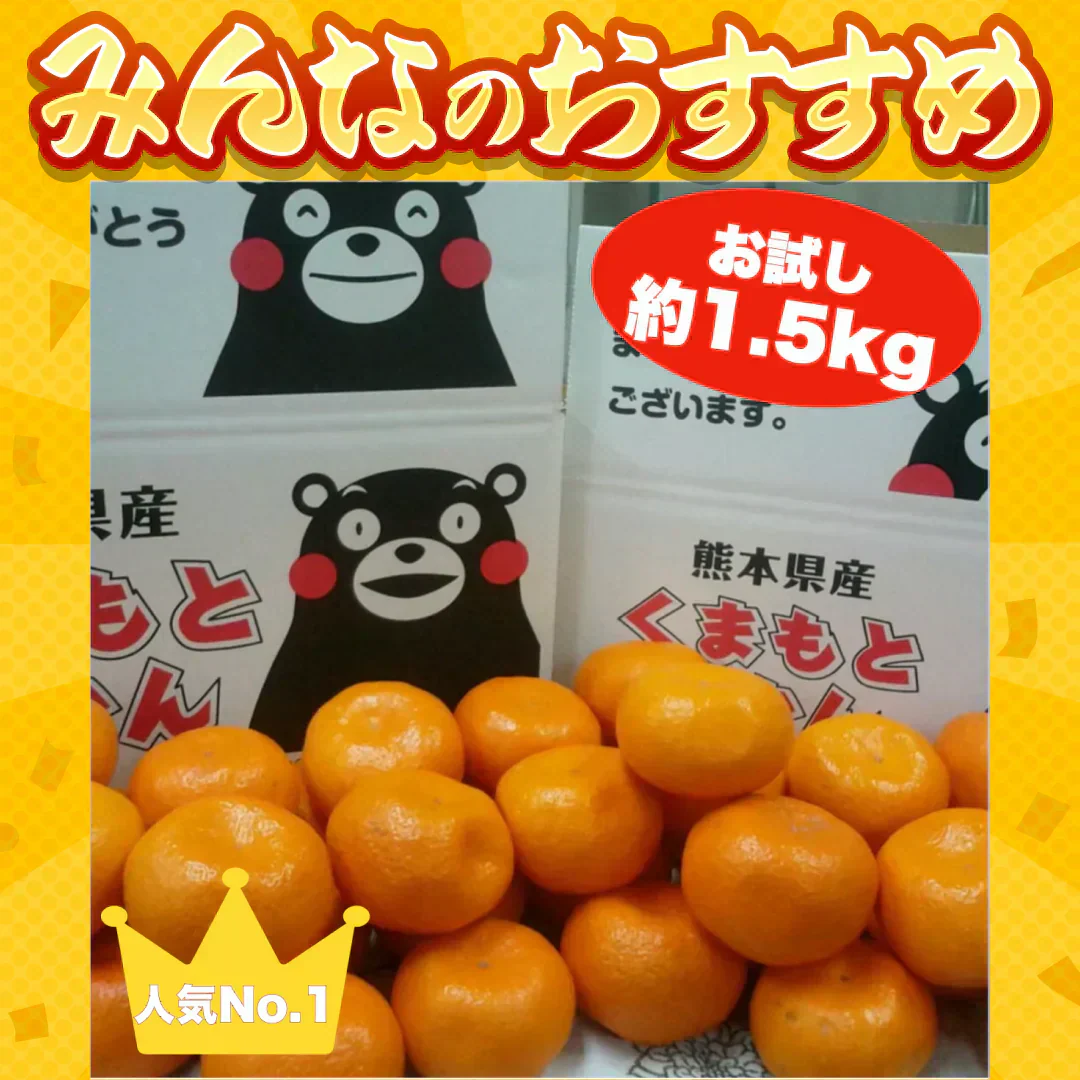 熊本産 みかん 訳あり 約1.5kg ご家庭用 60サイズ 送料無料