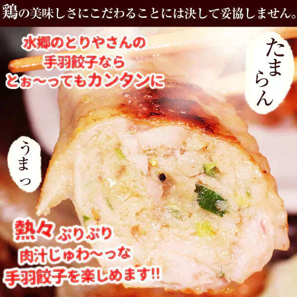 8秒に1本売れてる!手羽先餃子20本セット