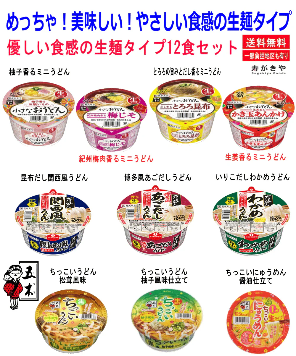 【生麵うどんそば決定版】 寿がきや 五木食品 あっさり やさしい味を楽しんで下さい うどん好きの貴方のセット 12食セット 関東圏送料無料