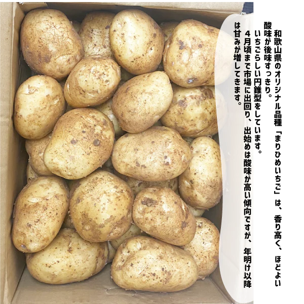 国産 新じゃが 約4kg 3Lサイズ 九州産他 ニシユタカ 新じゃがいも