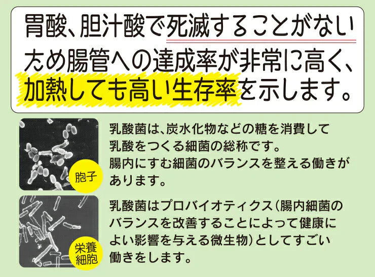 500g 水溶性食物繊維+生きてる乳酸菌パウダー