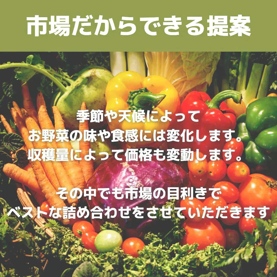 【大田市場直送】全国から仕入れるこだわった野菜セット!おまかせ 15品詰め合わせ!【送料無料】