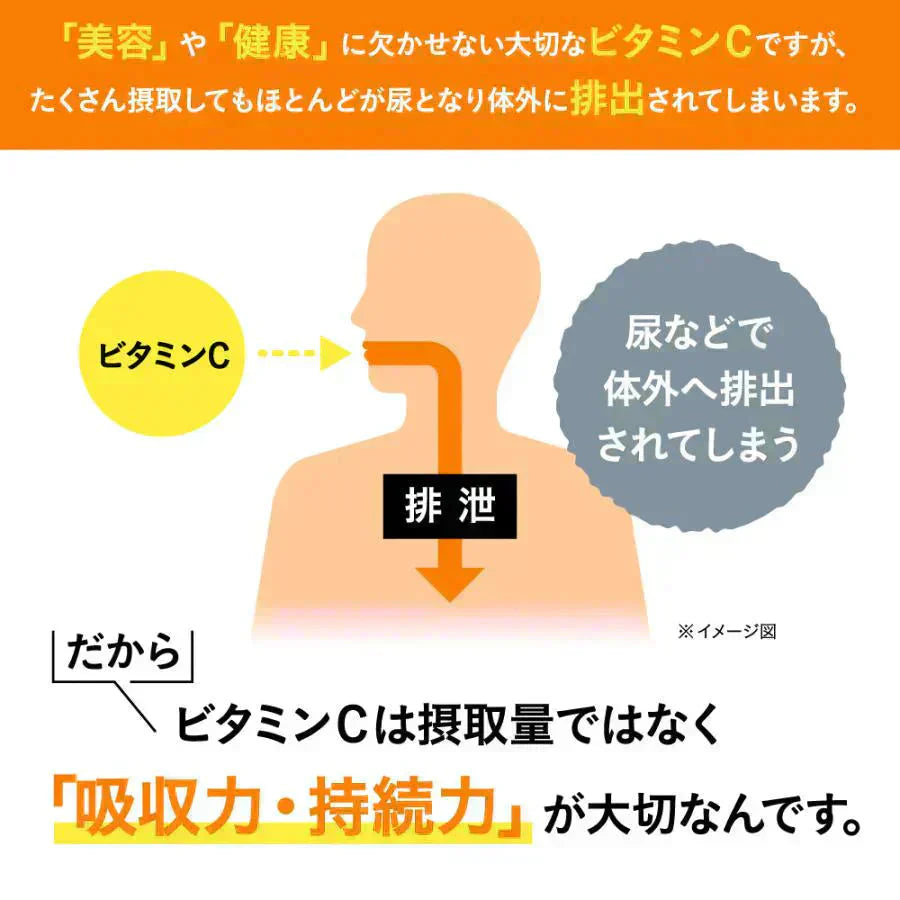 リポソーム型ビタミンC《約1ヶ月分》LiposomeC 1000 リポソーム ビタミンC 1袋あたり30,000mg サプリメント