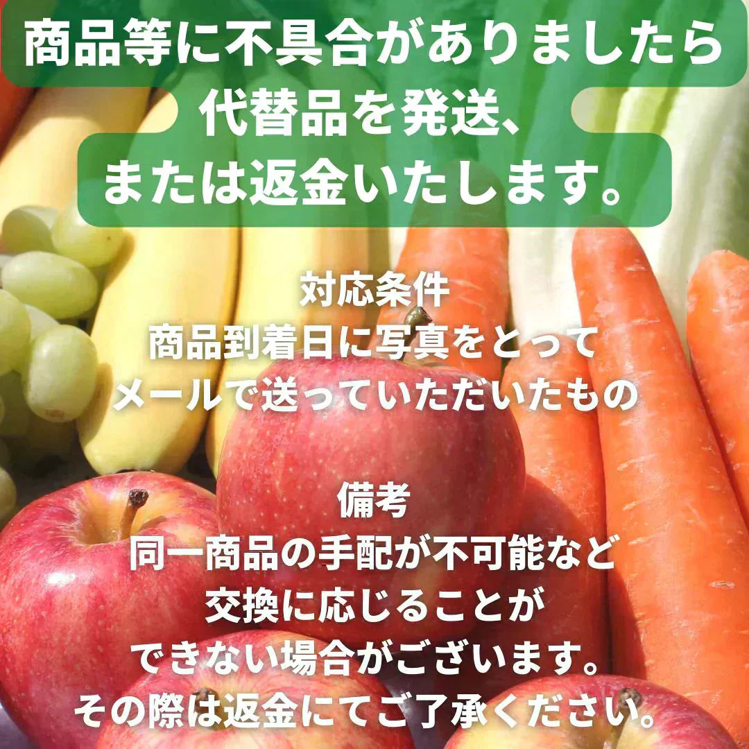 【大田市場直送】全国から仕入れるこだわった野菜セット!おまかせ 15品詰め合わせ!【送料無料】