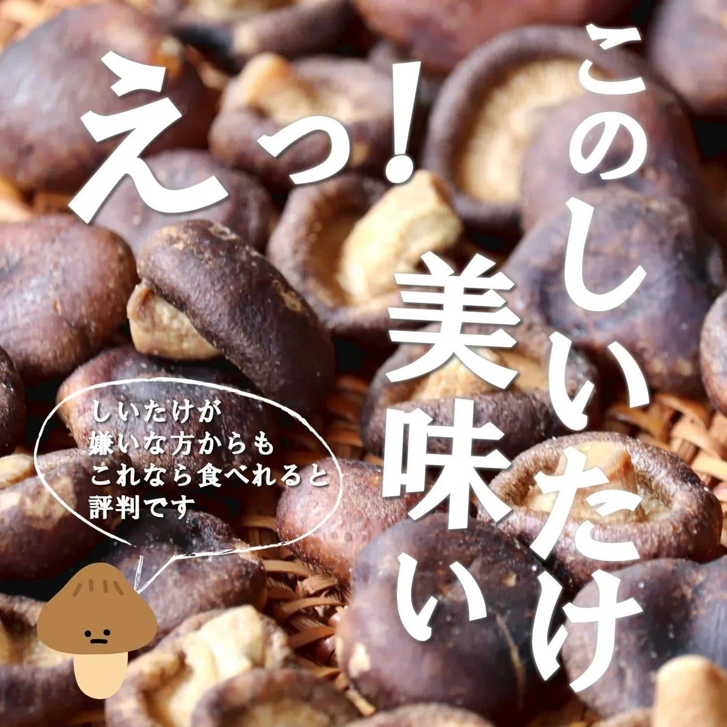 【190g】大地の生菓 まるごと しいたけスナック
