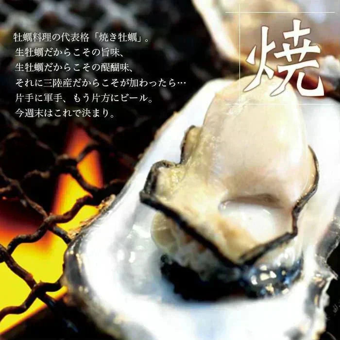 【生食OK】三陸産 殻付き 生牡蠣 3kg 今季初出し 希少 数量限定 新鮮 宮城 石巻 鉄分 ミネラル豊富 希少 貝 魚介類 かき 栄養 海の幸