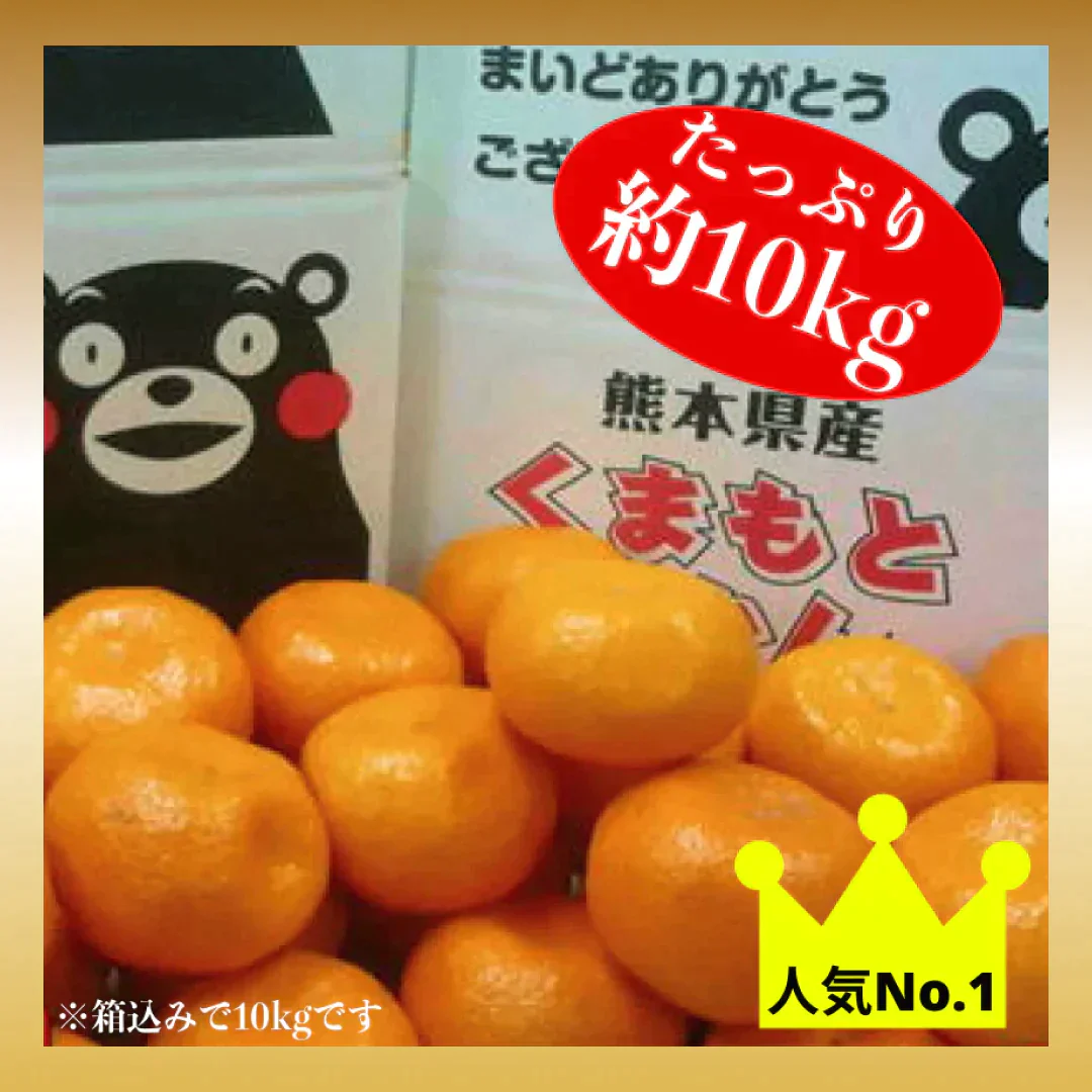 熊本産 みかん 訳あり 約10kg(箱込10kg 9kg+保証分500g)ご家庭用 送料無料 ※不良500g以上の場合は再送対応可能【ご新規さん限定商品】