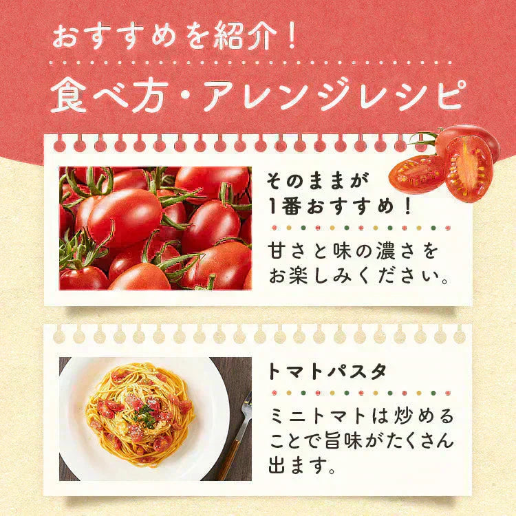【予約】【2026年1月から順次発送】1kg トマランタン 笑顔溢れる甘さ♪超濃厚ミニトマト!【東北配送不可】