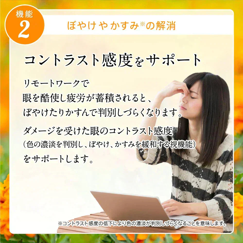 アイジェニック 約1ヶ月分 機能性表示食品 ルテイン