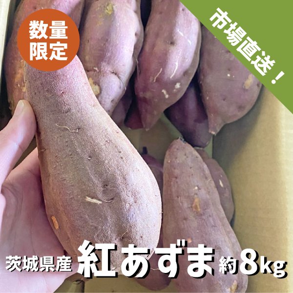 茨城県産 紅あずま 約8kg M〜Lサイズ 中長規格 さつまいも サツマイモ