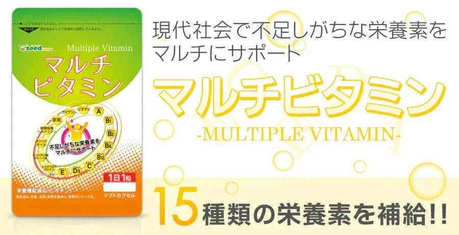 マルチビタミン《約3ヶ月分》ネコポス送料無料 サプリ/サプリメント/ビオチン/ビタミンサプリ/ ミネラル 葉酸 ナイアシン ビオチン パントテン酸 レシチン【大容量】