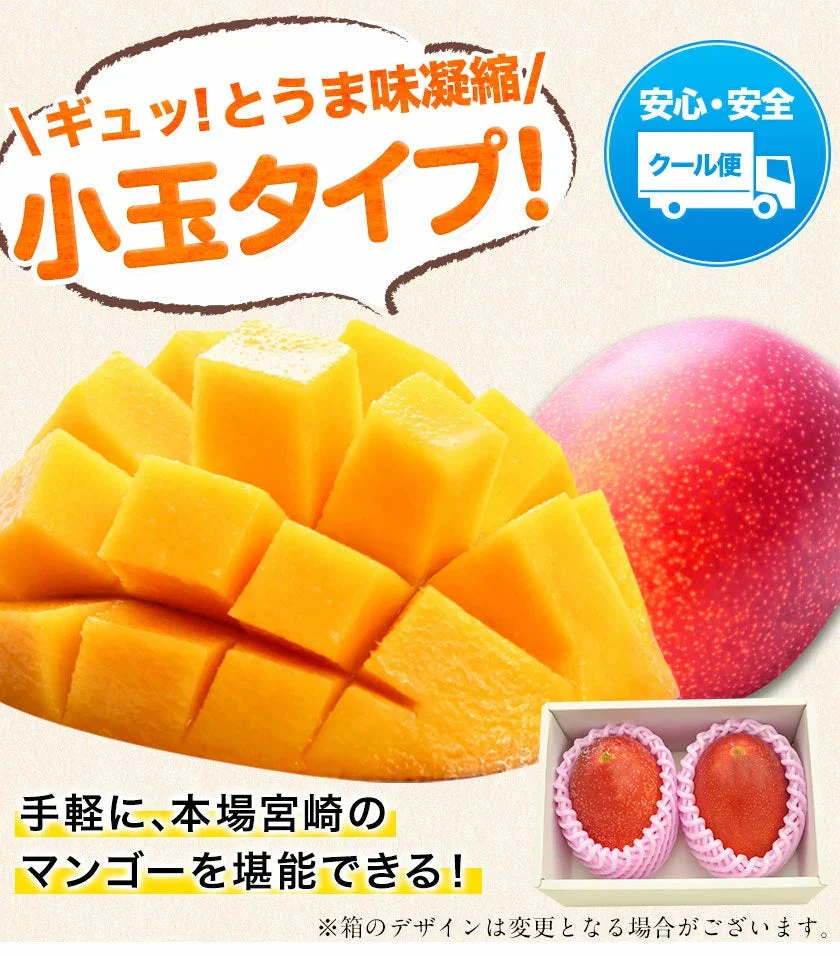 宮崎県産 完熟マンゴー マンゴー 2玉 化粧箱入り (Mサイズ:約240g~約309g) 送料無料 健康 ギフト プレゼント フルーツ 食べ物 贈答 旬の果物 贈答用