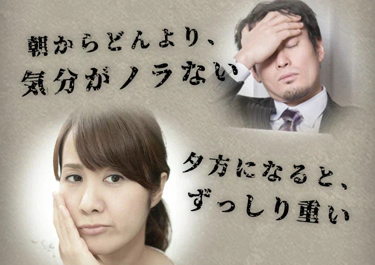 すっぽん黒酢無臭にんにく卵黄《約1ヶ月分》ダイエット サプリ サプリメント オメガ3 大豆ペプチド / 美容 健康 亜麻仁油 アミノ酸 すっぽん 黒酢 にんにく卵黄【カウシェファーム収穫対象商品】