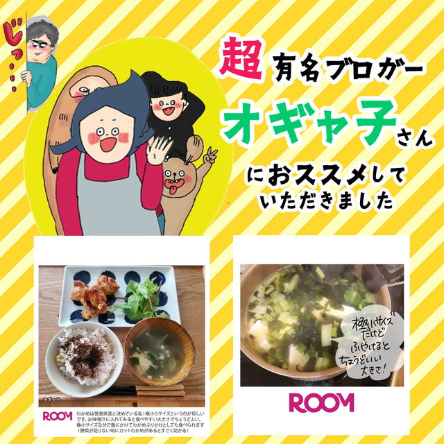 【徳島県産】乾燥わかめ!お試し40g!