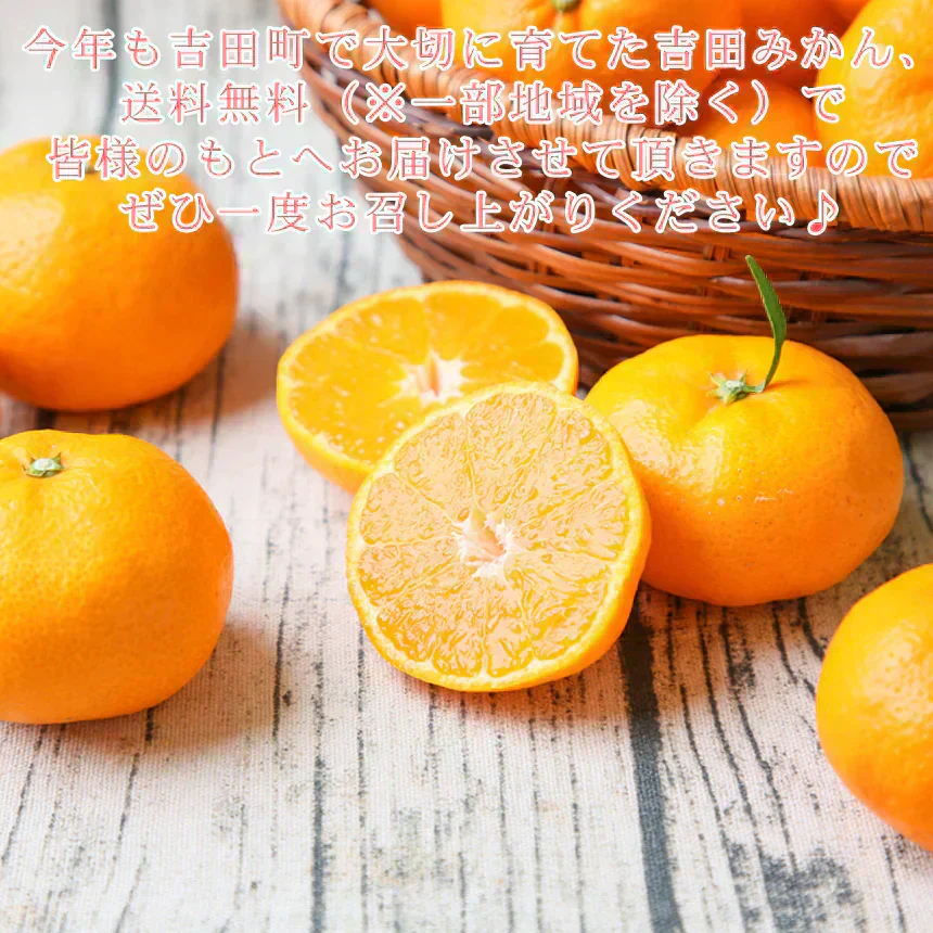 みかん 吉田みかん 5kg f吉05 家庭用 M~2L 愛媛 吉田 果物 フルーツ 柑橘 ミカン 蜜柑 訳あり 送料無料