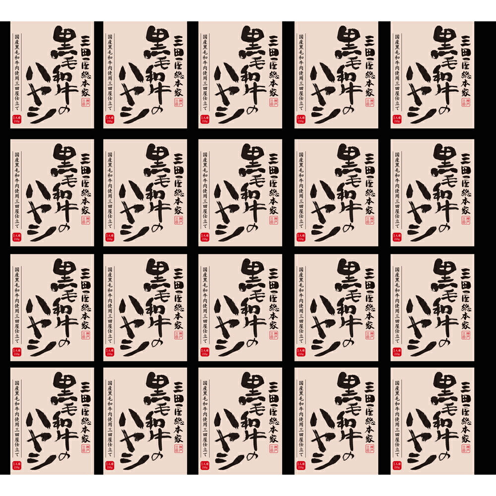 【3人シェア買いでお得】三田屋総本家 黒毛和牛のハヤシ(20食)