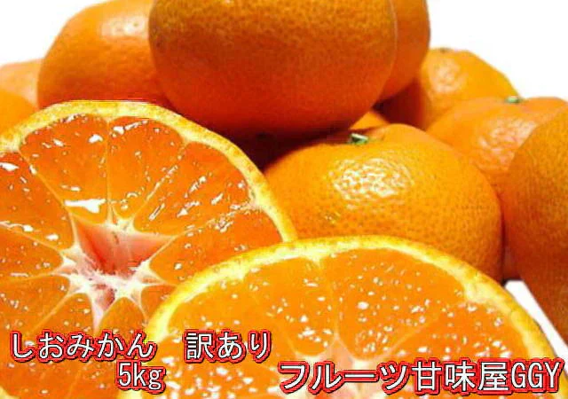 しおみかん 5kg みかん 熊本産 訳あり ご家庭用 80サイズ