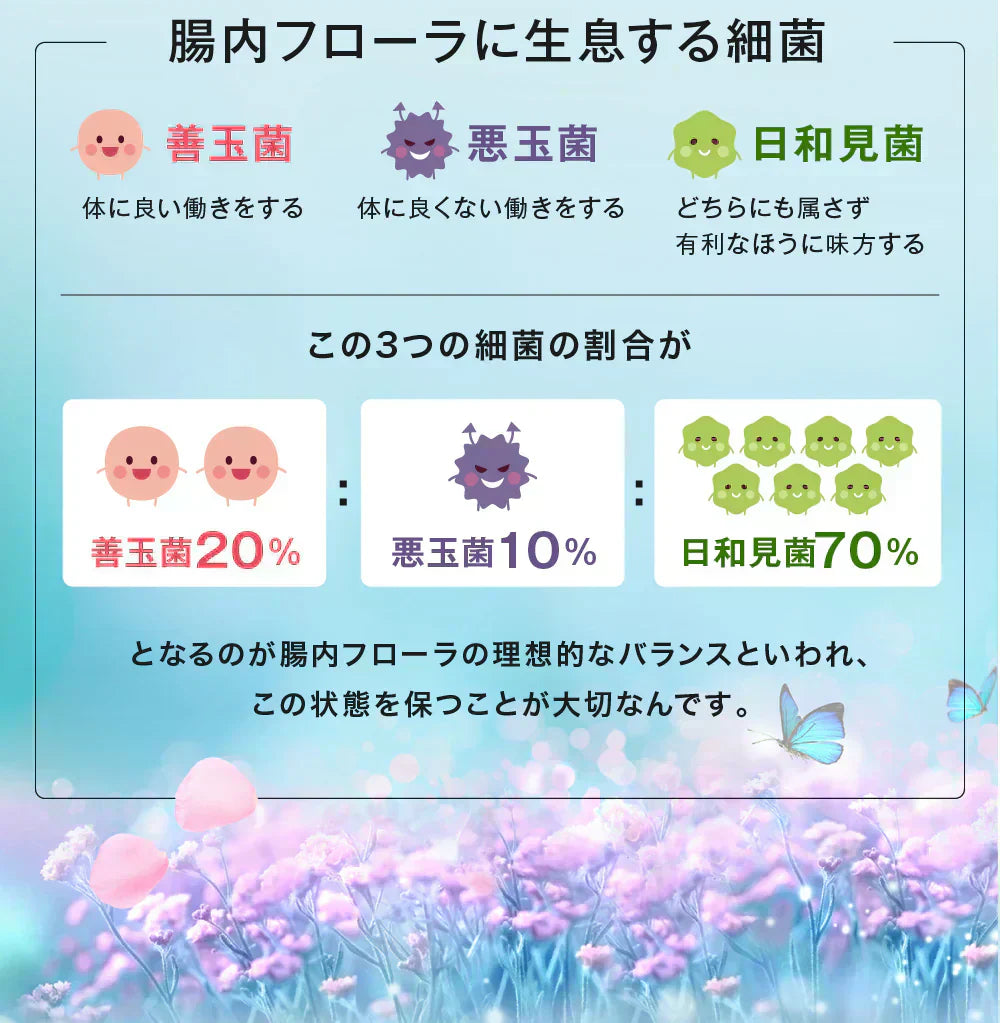 【クレンズ革命 ・お得3ヶ月分】5兆個 善玉菌のチカラ 内側から スッキリ 腸活 ダイエットサプリ 腸内フローラ 納豆菌 乳酸菌 菌活 悪玉菌 ガセリ ビフィズス菌 カルニチン プロバイオティクス デトックス クレンズサプリメント ガセリ菌 悪玉菌 国産 お腹スッキリ 乳酸菌サプリ 酪酸菌 納豆菌 ナットウキナーゼ ビフィズス菌 おすすめ 人気 ランキング 効果 強力 最強 通販 日本製 国産