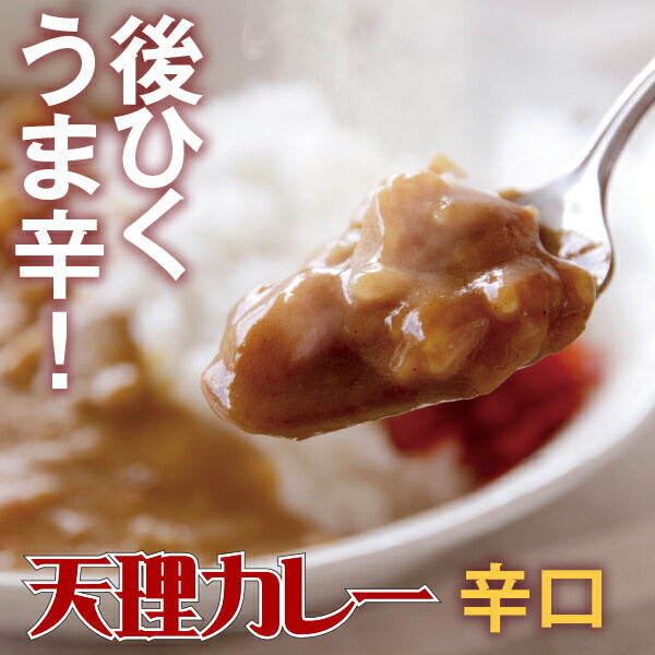 奈良県 「天理カレー(辛口) 10個セット」