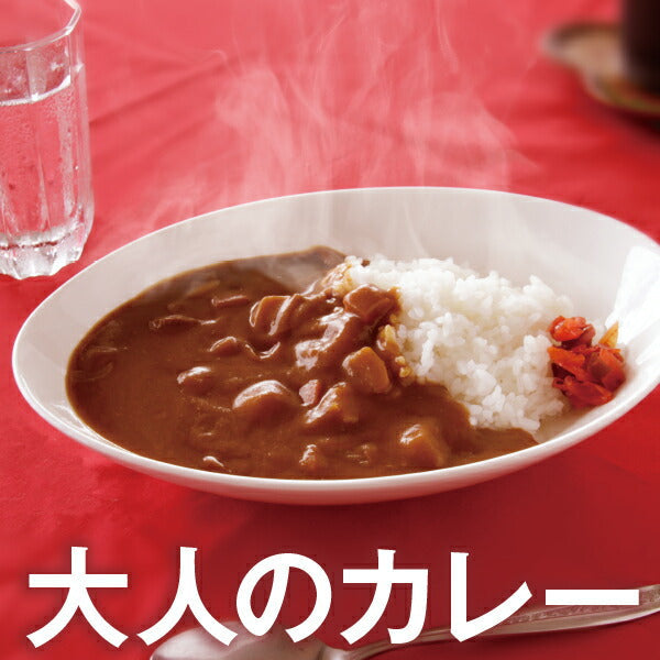 奈良県 「天理カレー(辛口) 10個セット」