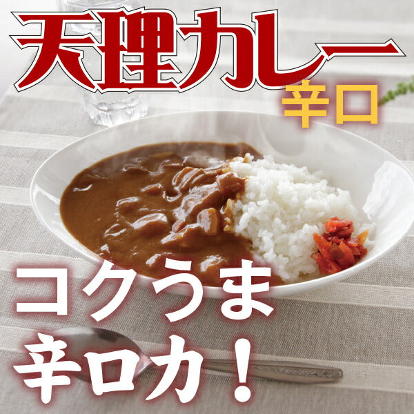 奈良県 「天理カレー(辛口) 10個セット」