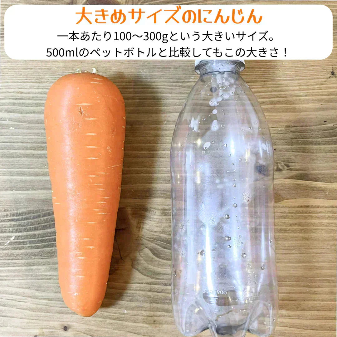 【有名ホテル御用達】甘〜い にんじん 10kg(1kg×10p) 農家 人参 ニンジン 野菜 フルーツ 青果 果物 フルーツ 市場 ギフト 食品 家庭用 贈答 料理